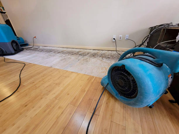 Professional Water Damage Repair technician working in Vernon, AL